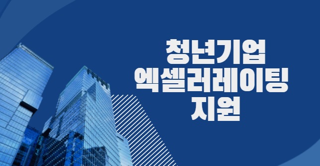 청년기업 엑셀러세이팅 지원사업 - 자세한 내용은 우측 참조