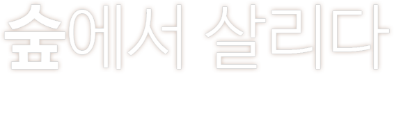 숲에서 살리다 숲에서 이루어지는 다양한 프로그램은 신체적 정신적 건강을 회복시키는 활동으로 모든 사람들에게 심신의 안정과 행복감을 줍니다.
