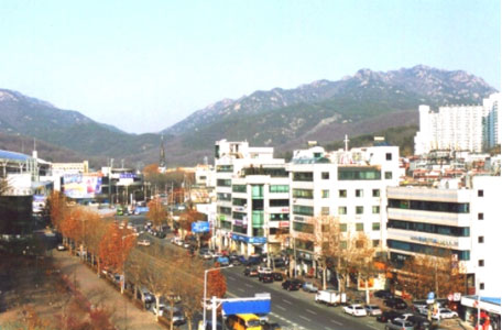 2008년 비산3동