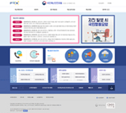 국민재난안전포털