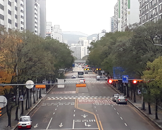 부림동 이미지