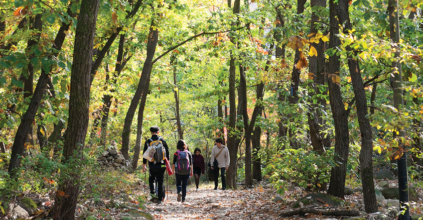 Gwanaksan Trail