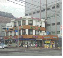 주요도로변(나무의 거리 구간) :정비후