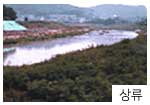 하수처리장 방류구 상류