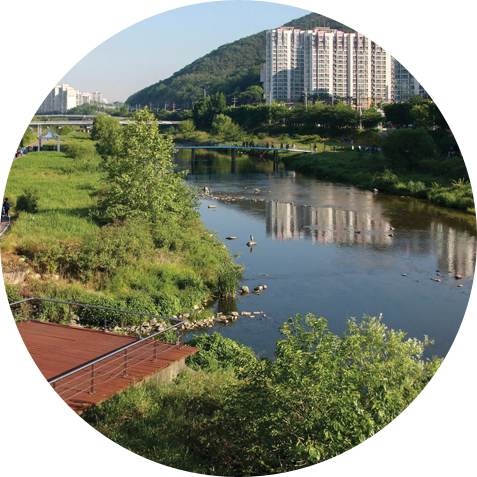 학의천